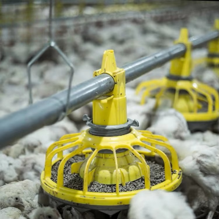 Farming Agriculture Equipment - Attrezzature agricole per polli e pollame/attrezzature