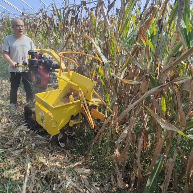 Combine Harvester Mini - Mietitrebbiatrice Economica per Mais da Fattoria