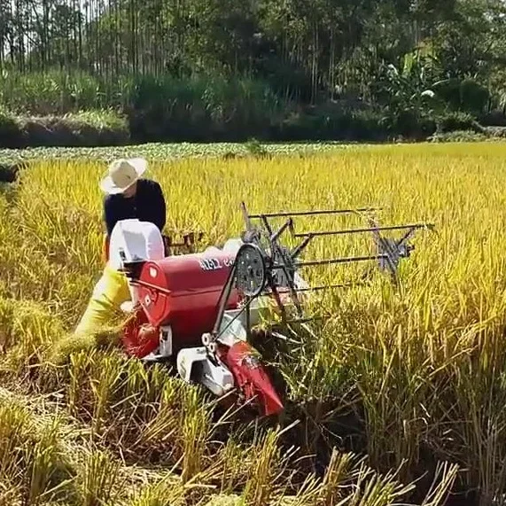 Nuova macchina automatica per  - Combine Harvester Mini recensione e prezzo