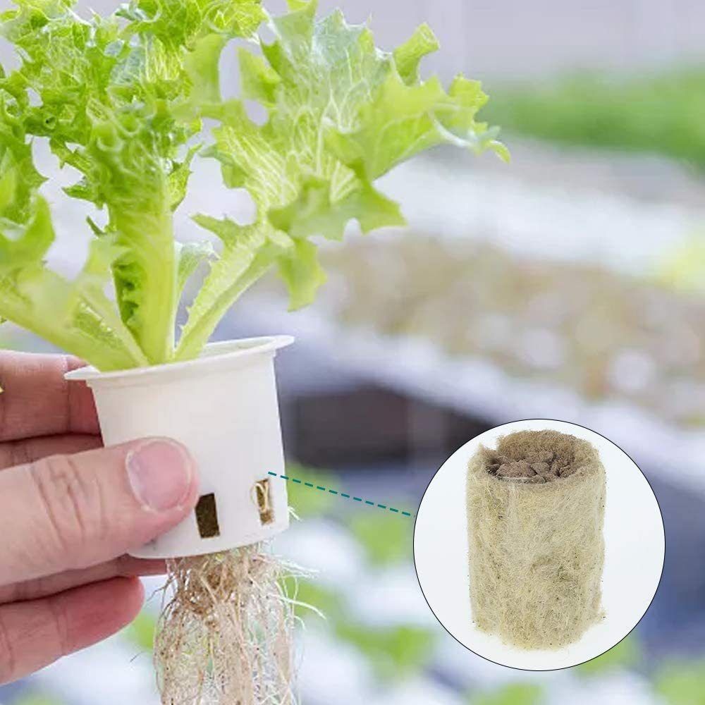 50 Pezzi Blocchi per Piantine  - Nursery Plug Tray recensione e prezzo