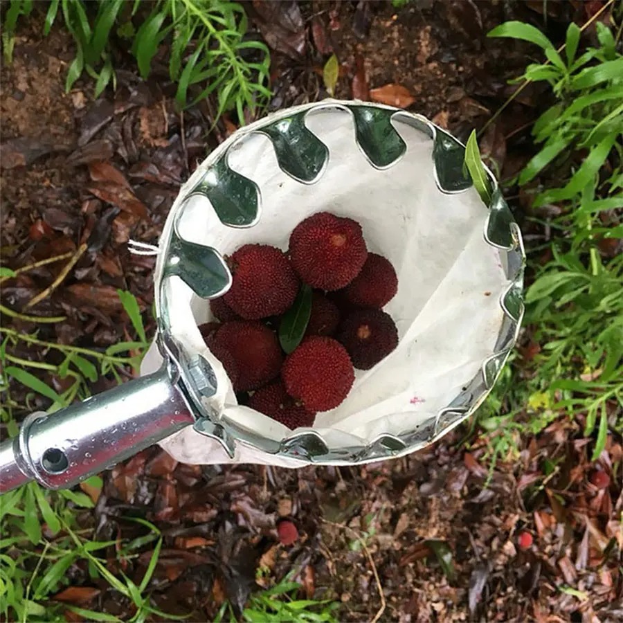Raccogli Frutta Professionale: - Farming Tools For Agriculture recensione e prezzo